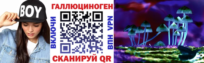 Псилоцибиновые грибы прущие грибы  цены наркотик  Циолковский 
